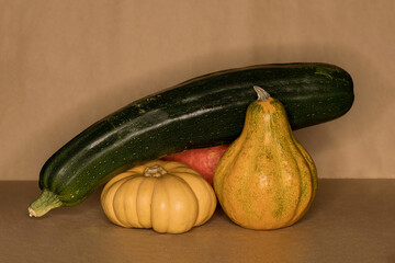 Still life of vegetables pumpkin and zucchini