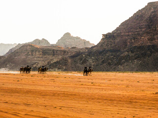 Fototapeta na wymiar tourists in the desert