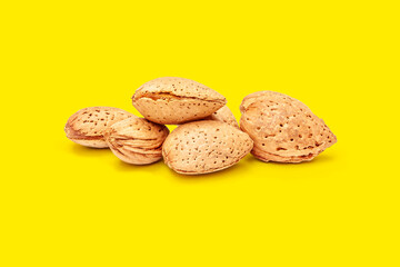 group of dried fruits isolated on a colored background