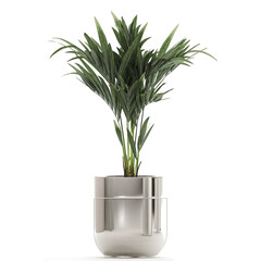 palm tree in a chrome flowerpot isolated on white background