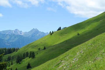 Fototapeta na wymiar landscape with grass and mountains