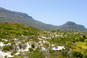 Coastal sand dune landscape of Fish Hoek, Cape Town