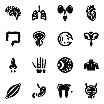 
Human Organs Solid Icons Pack
