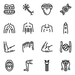 
Body Anatomy Solid Icons Pack 
