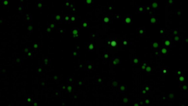 Blurred abstract boken background. Animated background.