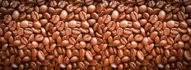 coffee beans   background texture