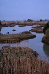 The salt marshes of guerande in the evening.