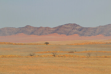 colors of nature, Namib Desert Namibia, view from Rostock Ritz lodge 