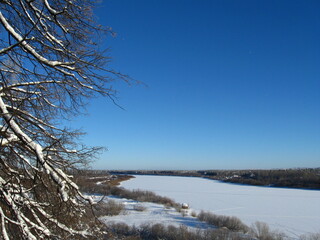 landscape with trees and snow