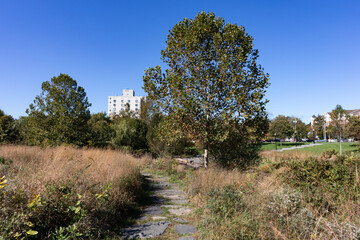 Empty Path at Mill River Park in Stamford Connecticut with Trees and Plants