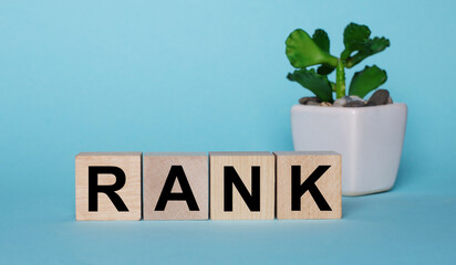 On a blue background, on wooden cubes near a plant in a pot RANK is written