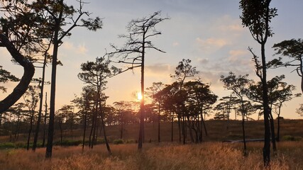 Obraz premium Sunset Sunrise of Phu-Soi-Dao Mountain