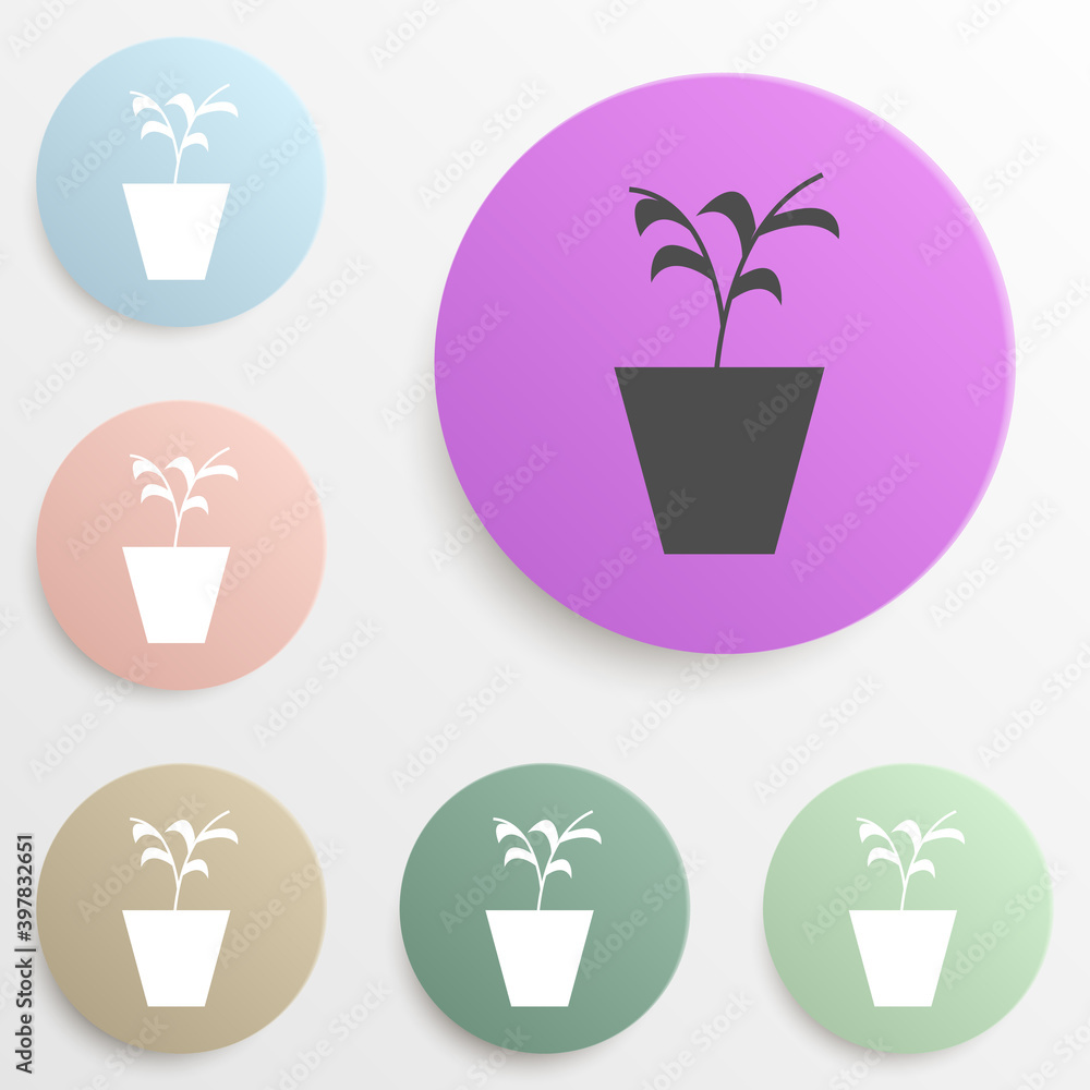 Poster plant in the pot badge color set. simple glyph, flat vector of web icons for ui and ux, website or m