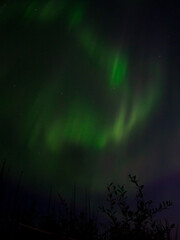 Fototapeta na wymiar Northern Lights 