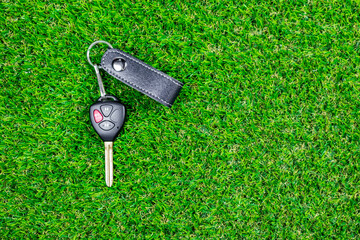 Obraz premium A car key with remote control on green grass.
