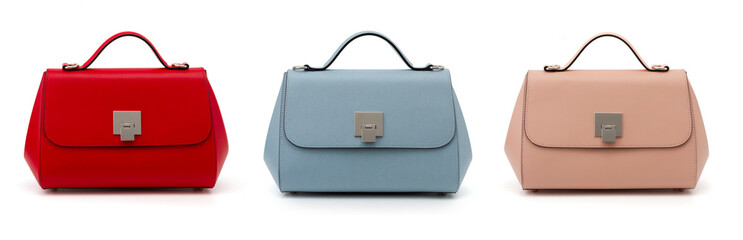 group of women leather handbags isolated on white 