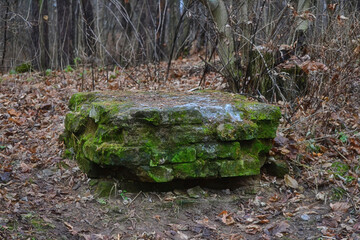 Old base of a ruined statue, covered with green moss, under tree
