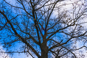 Landscape views of Budapest neighbourhood 
