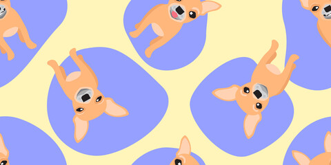 Dog seamless pattern, Chihuahua and blue pattern on yellow background.