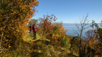 Fototapeta premium Beautiful autumnal mountain landscape with reddish leaves on the trees and bushes; in the background blue sea and island Krk, and two people hiking; soft focus