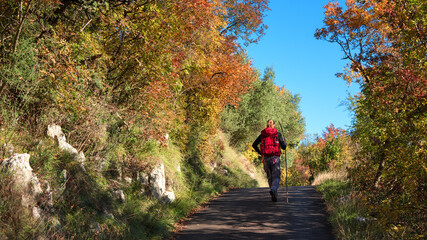 A young man with a red backpack hiking through the colorful autumn forest