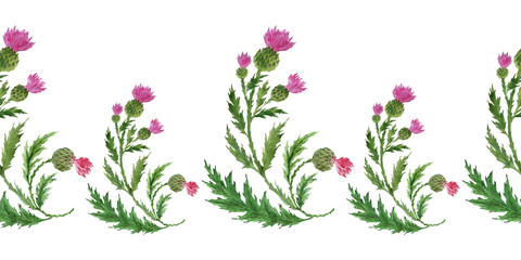 Watercolor seamless  borders with stylized twigs, flowers and leaves of the Thistle plant
