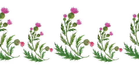 Foto op Plexiglas Watercolor seamless  borders with stylized twigs, flowers and leaves of the Thistle plant  © Ellivelli