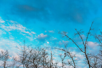 Blue nordic evening sky 