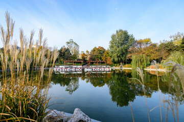 Landscape with the lake and green and yellow trees in Drumul Taberei Park, also known as Moghioros...
