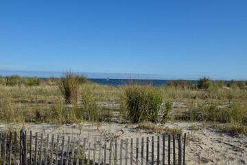 Sand dune hill with tall green grass and a wood slat wind fence the ocean with a sailboat is in the background