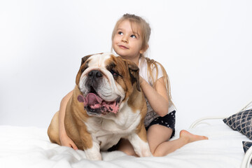 Young dreamy girl sits on the bed and hugs her friend's belt. The English Bulldog is a purebred dog with a pedigree.