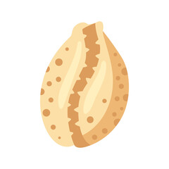 Illustration of seashell.