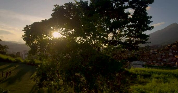 Raising view of a landscape from Petare, Caracas, Venezuela, with sun rays thru a tree