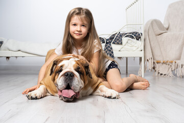 A young girl in a bedroom, sitting on the floor with her dog and stroking him. Child and dog. The English Bulldog is a purebred dog with a pedigree.