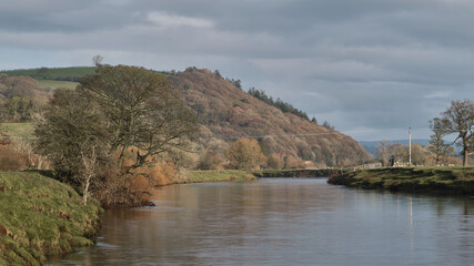 landscape with river and trees