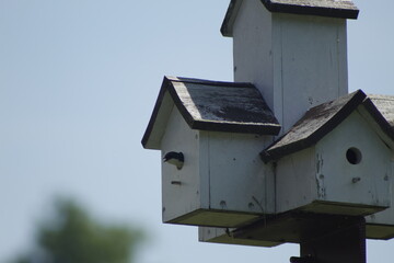 P&aacute;jaro parado sobre pajarera