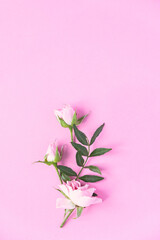 Creative layout made with pink and violet flowers on pink background. Flat lay.