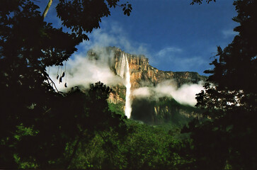 Panoramic view over jungle on table mountain with waterfall, Salto del Angel, Venezuela (focus on...