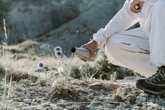 Man watering plant with thermos flask in an arid landscape