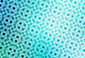 Light Green vector background with bubbles.