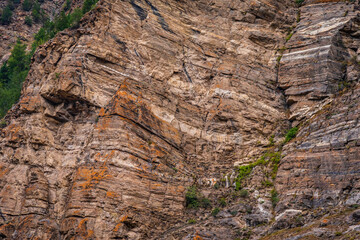 Strata of Limestone rocks, it is a sedimentary rock forms when layers of skeletal fragments of marine organisms accumulates by sedimentation then uplifted in folded mountains Himalayas by tectonics.