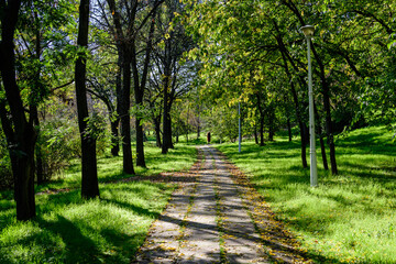 Landscape with the hidden alley surrounded by vivid green and yellow trees, plants trees and grass in a sunny autumn day in Parcul Tineretului (Tineretului Park) in Bucharest, Romania .