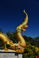 Fototapeta na wymiar Head Serpent or great golden Naga isolated blue sky background include clipping path. Khow chong chat Temple, Nong Wua So District, Udon Thani Province, Thailand.