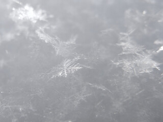 Fluffy snow winter background with large snowflakes