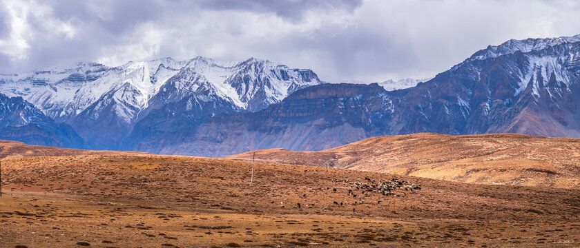 Panoramic Landscape of Spiti valley with snow capped mountains in background near agriculture fields of Hikkim and Komic village of Kaza town in Lahaul and Spiti district of Himachal Pradesh, India.