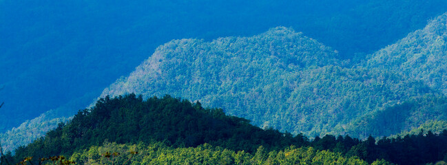 Mist on the Mountain