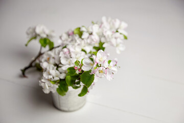 Fototapeta na wymiar White flowers in pot