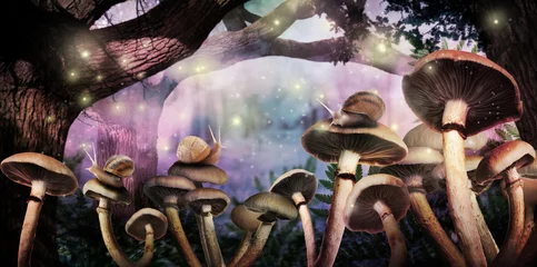  Fantasy world. Mushrooms with snails and magic lights in enchanted forest, banner design © New Africa