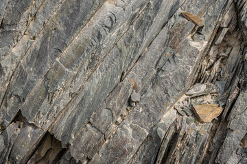 Strata of Slate is a fine-grained  homogeneous metamorphic rock derived from  shale type sedimentary rock composed of clay or volcanic ash. It is found in Himalayas in Himachal Pradesh, India.