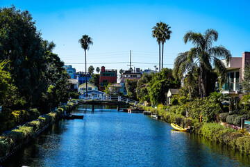 pool in the park